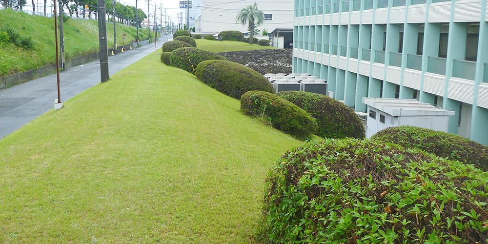 植栽管理