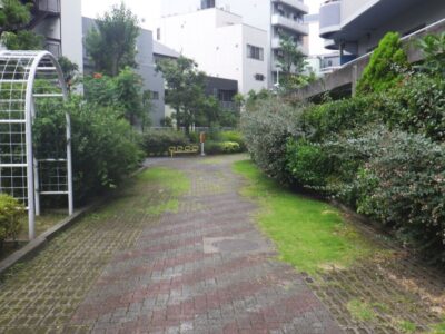 【年間植栽管理】マンションの敷地1200㎡の除草作業を2日半で実施した事例｜大阪市港区