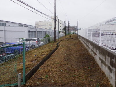 【年2回の植栽管理】草むらの中に隠れていた溝や切り株などに注意して駐車場周囲の除草作業を実施した事例｜大阪府枚方市